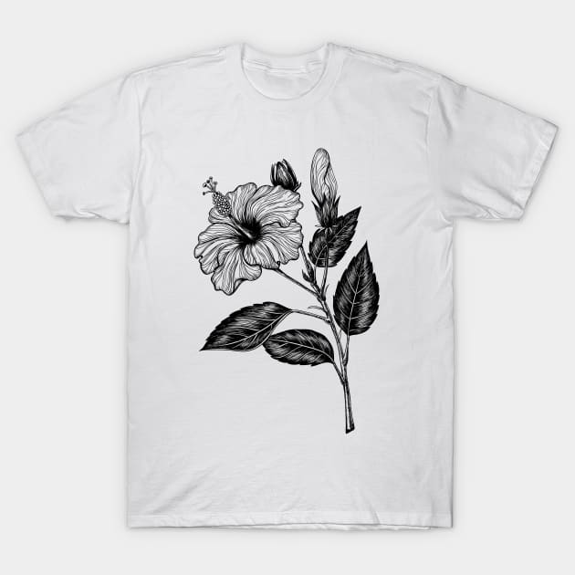 Hibiscus flower III T-Shirt by katerinamk